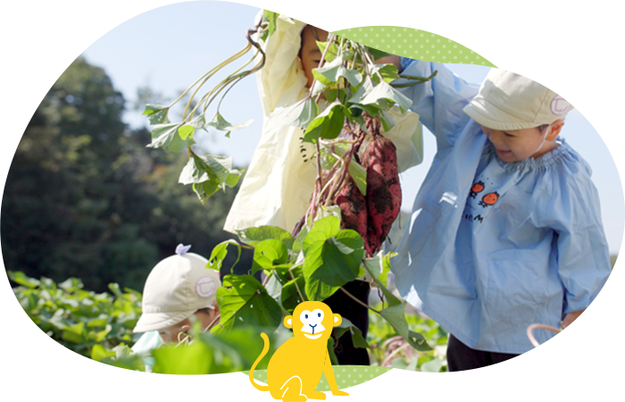 広大な畑など触れて学ぶ食育