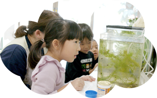 とちの実保育園