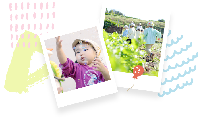 季節のフォトギャラリー