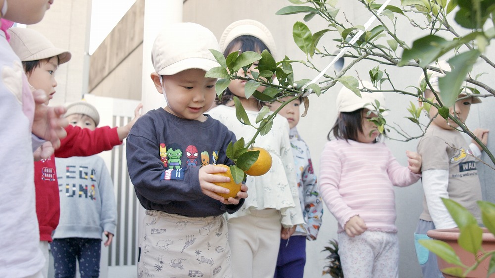 2. 自然の中でのびのびと過ごせる活動