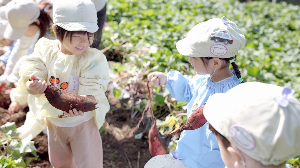 3. 広大な畑など触れて学ぶ食育